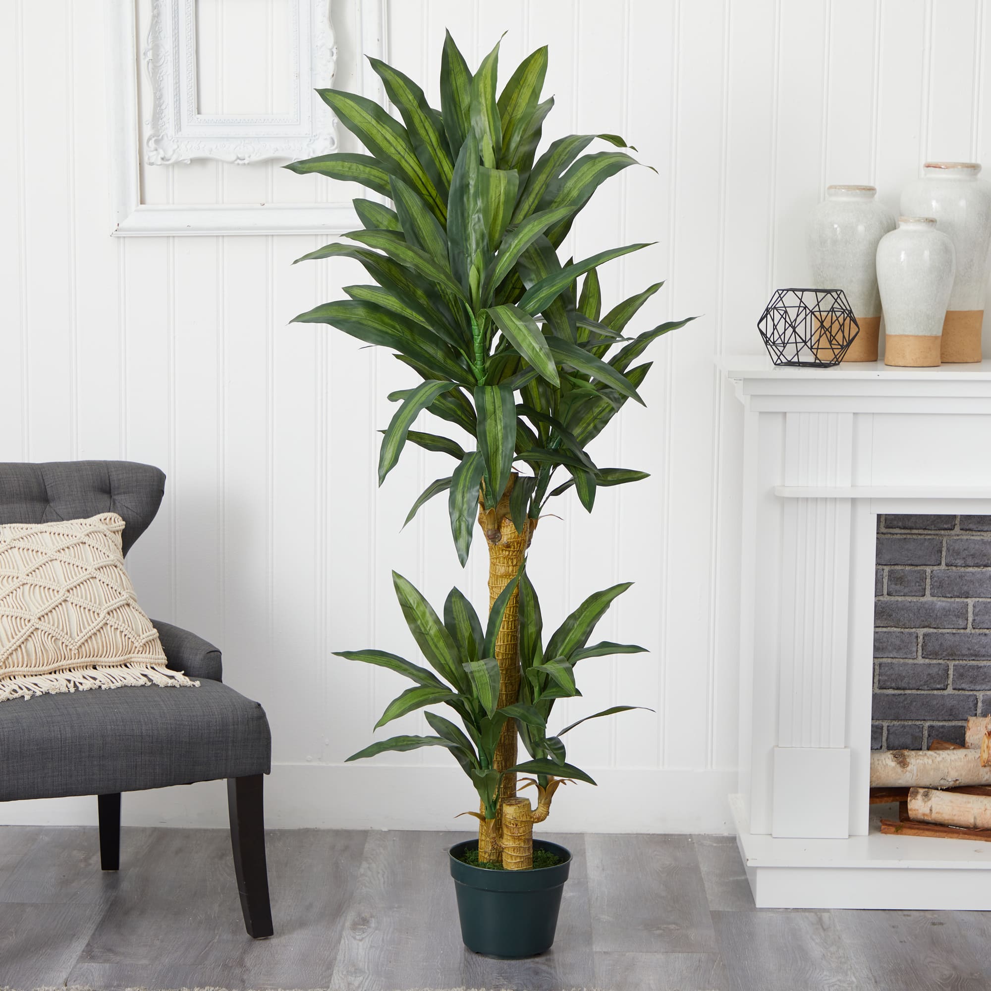 5ft. Potted Yucca Tree